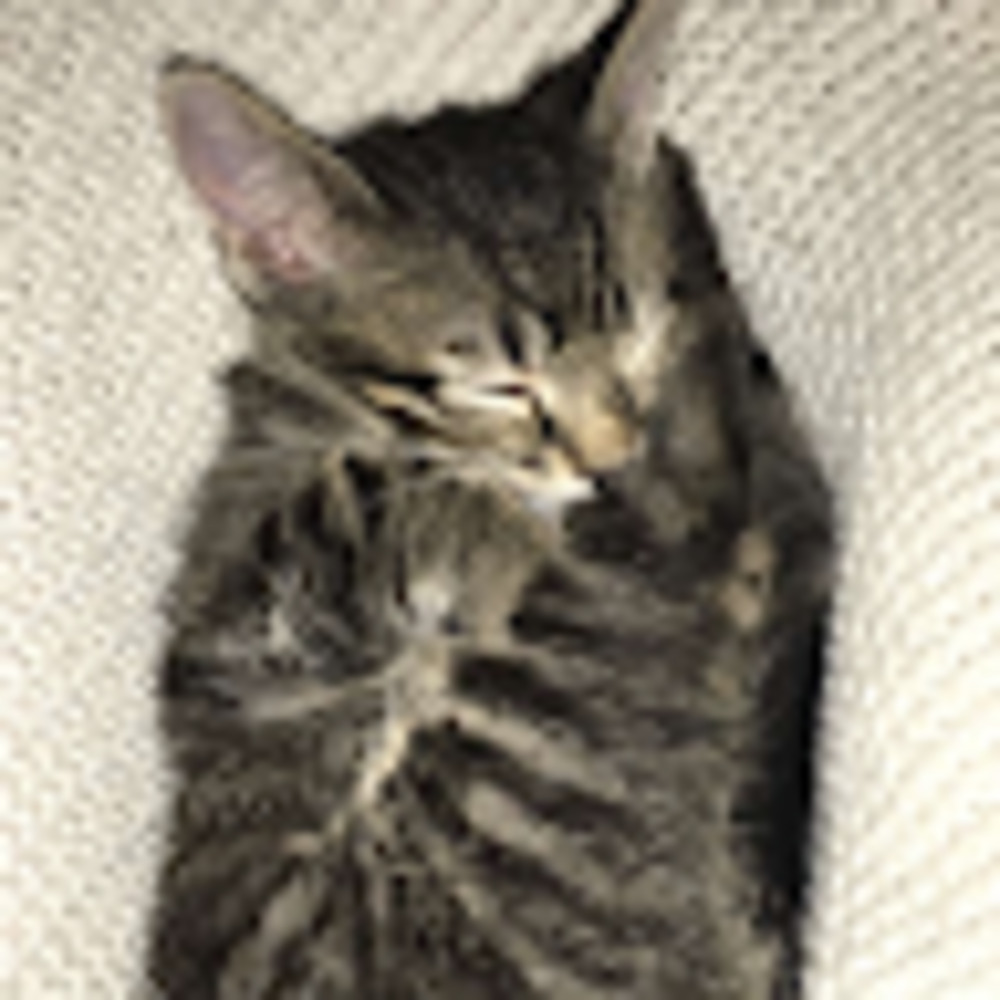 Meet your Posher, Vincent